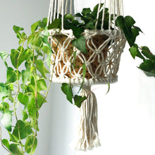 Load image into Gallery viewer, Macrame Pot Holder - Double Holder