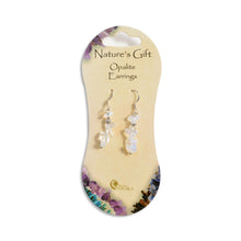 Load image into Gallery viewer, Natures Gift Drop Down Earrings - CHOICE OF 3