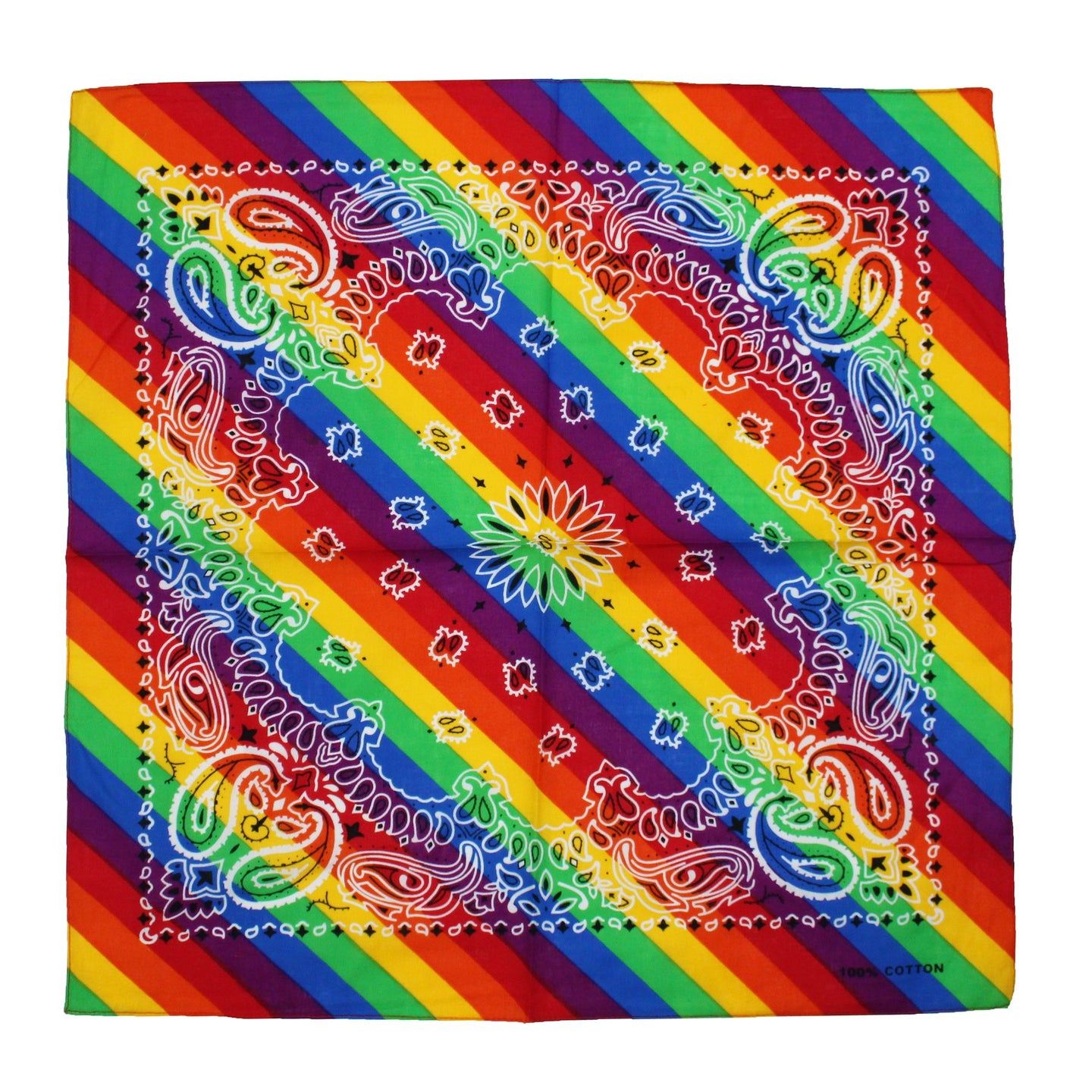 Rainbow Paisley