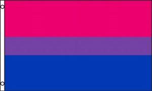 Pride/Equality Flags – BISEXUAL