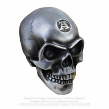 Load image into Gallery viewer, Metalised Alchemist Skull
