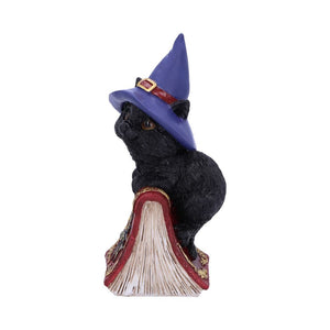 Hocus Small Witches Familiar Black Cat and Spell book Figurine
