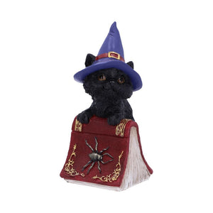 Hocus Small Witches Familiar Black Cat and Spell book Figurine