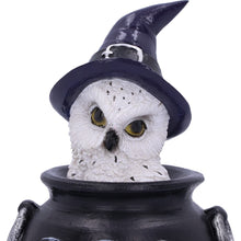 Load image into Gallery viewer, Owl&#39;s Brew Figurine
